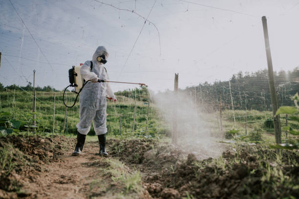 Best Mosquito Control Services  in Groesbeck, TX