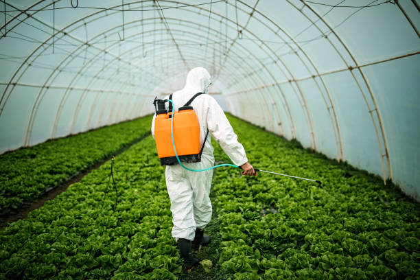 Professional Pest Control in Groesbeck, TX