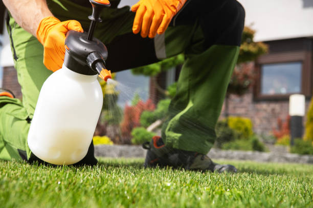 Best Affordable Pest Control Services  in Groesbeck, TX