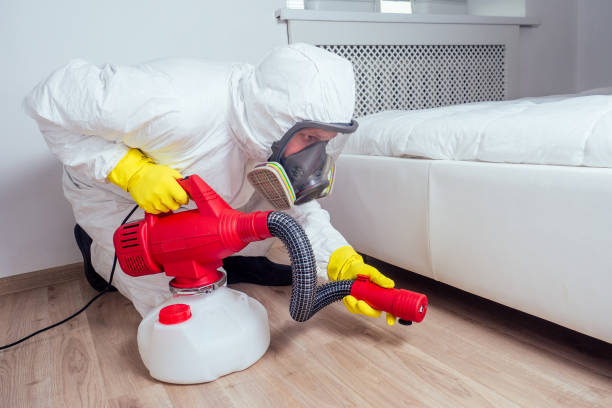 Best Rat Extermination Near Me  in Groesbeck, TX