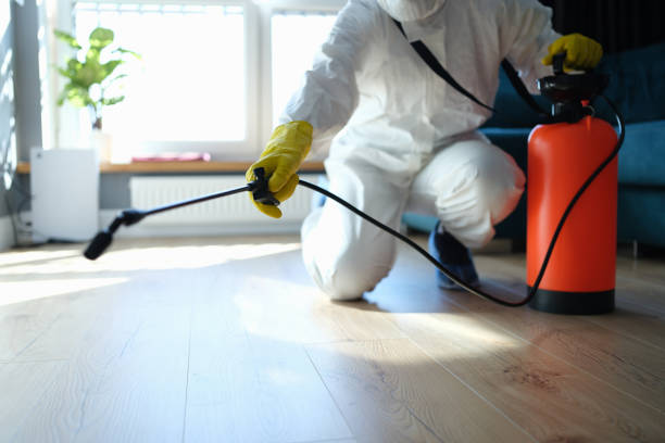 Best Pest Control Near Me in Groesbeck, TX