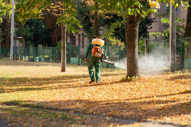 Best Pest Control Near Me  in Groesbeck, TX