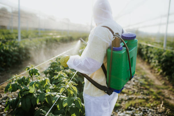  Groesbeck, TX Pest Control Pros